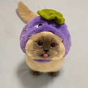 Meet your Posher, Pablo